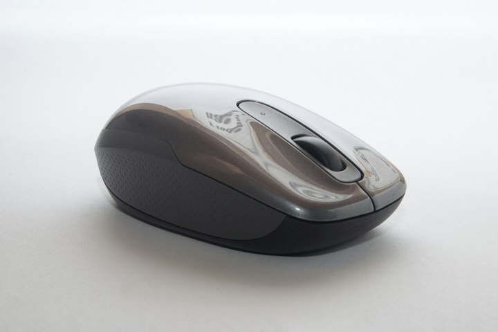 High-performance mouse